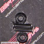 1/4-20 x 1in SS Bolts Black Pair