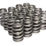 1.269 Dia Outer Valve Springs- With Damper