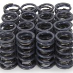 1.095 Valve Springs 16pk Single w/Damper