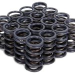 1.095 Valve Springs 16pk Single w/Damper