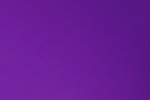 Steinjäger Sinbad Purple Touch Up Paint, Aerosol 12 fl oz