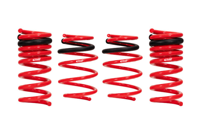 Eibach Springs E20-40-038-01-22 Set of 4 Springs