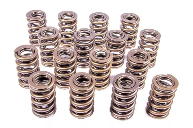 1.244 Dual Valve Springs (16)