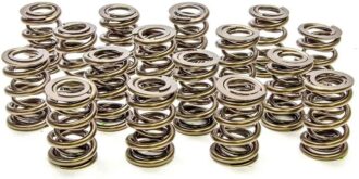 1.550 Dual Valve Springs - (16)