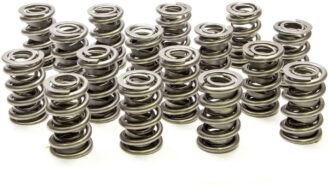 1.550 Dual Valve Springs - (16)