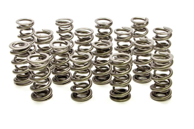 1.500 Dual Valve Springs - (16)