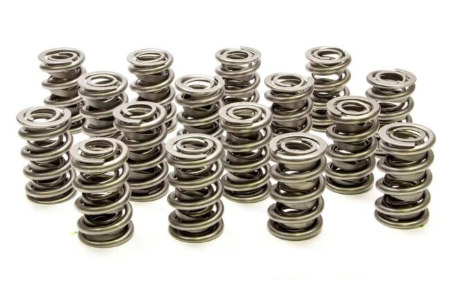 1.500 Dual Valve Springs - (16)