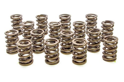 Valve Springs - HR Series (16)