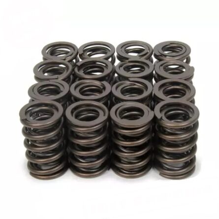 1.490 Dual Valve Springs (16)